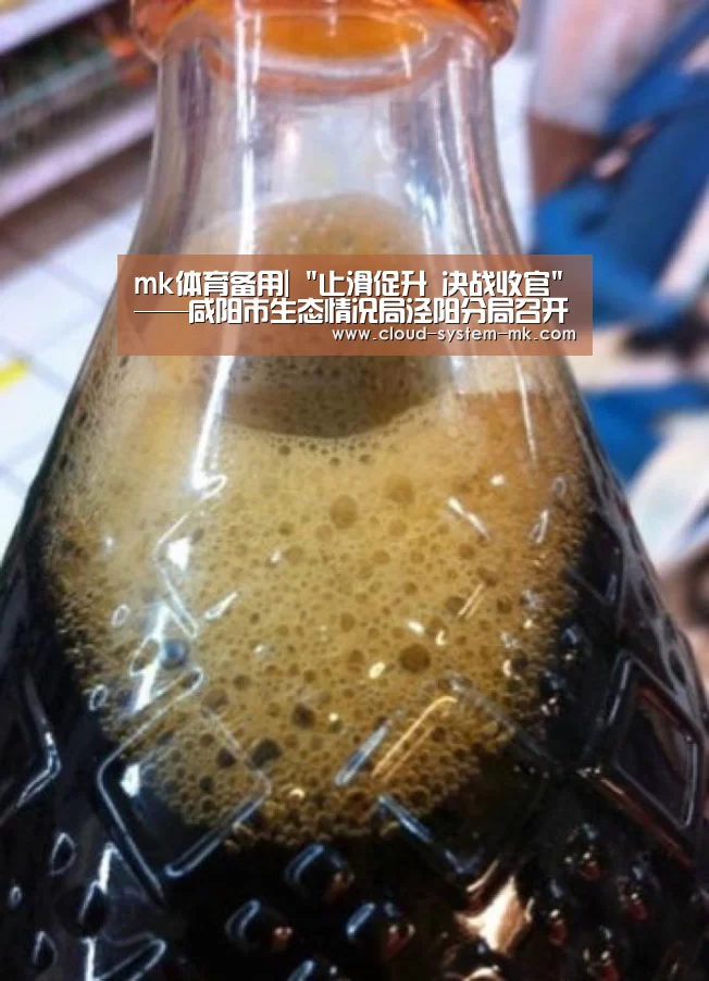 mk体育备用|
止滑促升 决战收官——咸阳市生态情况局泾阳分局召开决战决胜四季度暨重点事情推进会(图4) mk体育下载