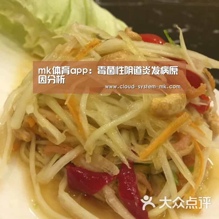 mk体育app