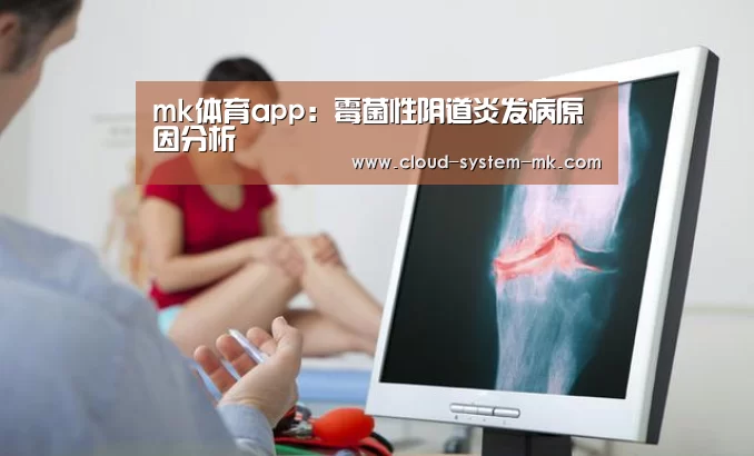 mk体育下载
