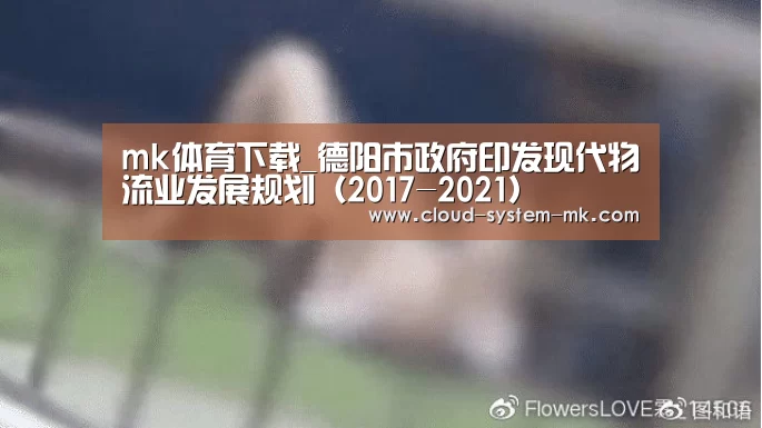 mk体育官网