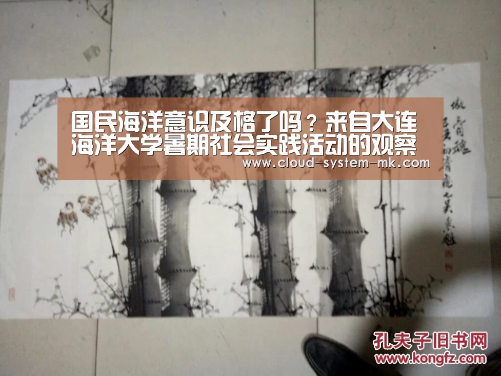 国民海洋意识及格了吗?来自大连海洋大学暑期社会实践活动的观察报告【mk体育备用】(图2) mk体育官网