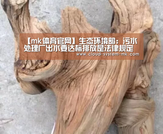 【mk体育官网】生态环境部:污水处理厂出水要达标排放是法律规定(图3) mk体育app