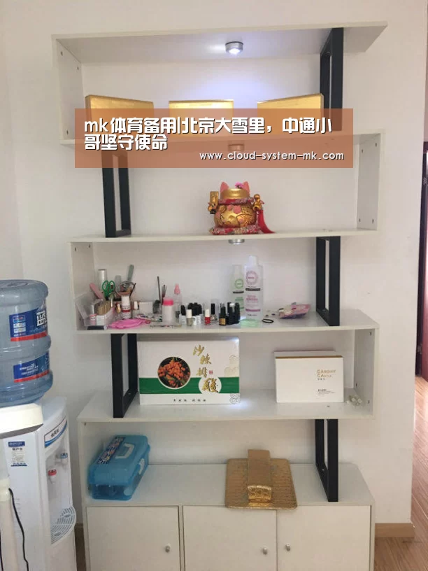 mk体育备用|北京大雪里,中通小哥坚守使命(图1) mk体育app