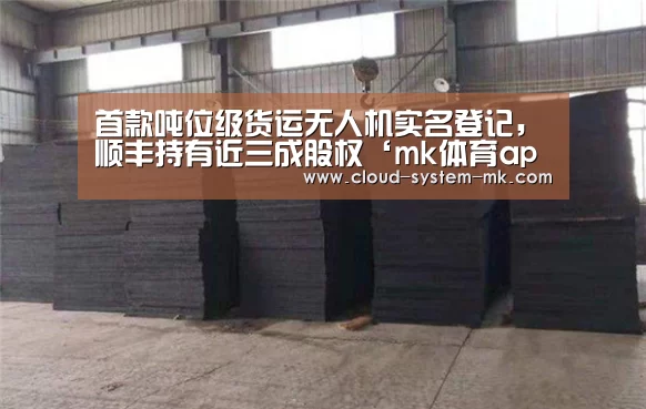 首款吨位级货运无人机实名登记,顺丰持有近三成股权‘mk体育app’(图1) mk体育备用