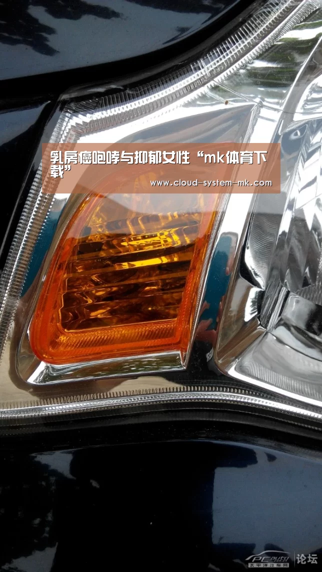mk体育官网