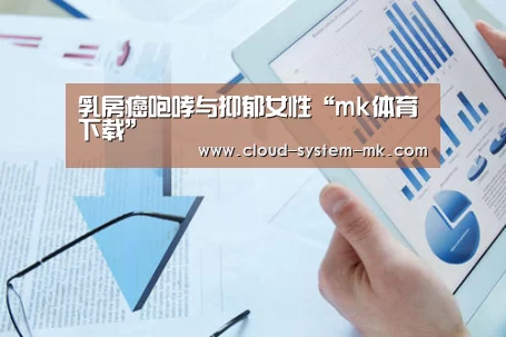 mk体育官网