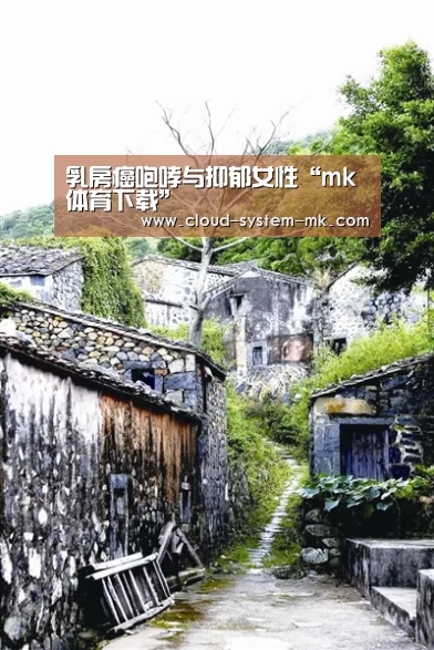 mk体育下载