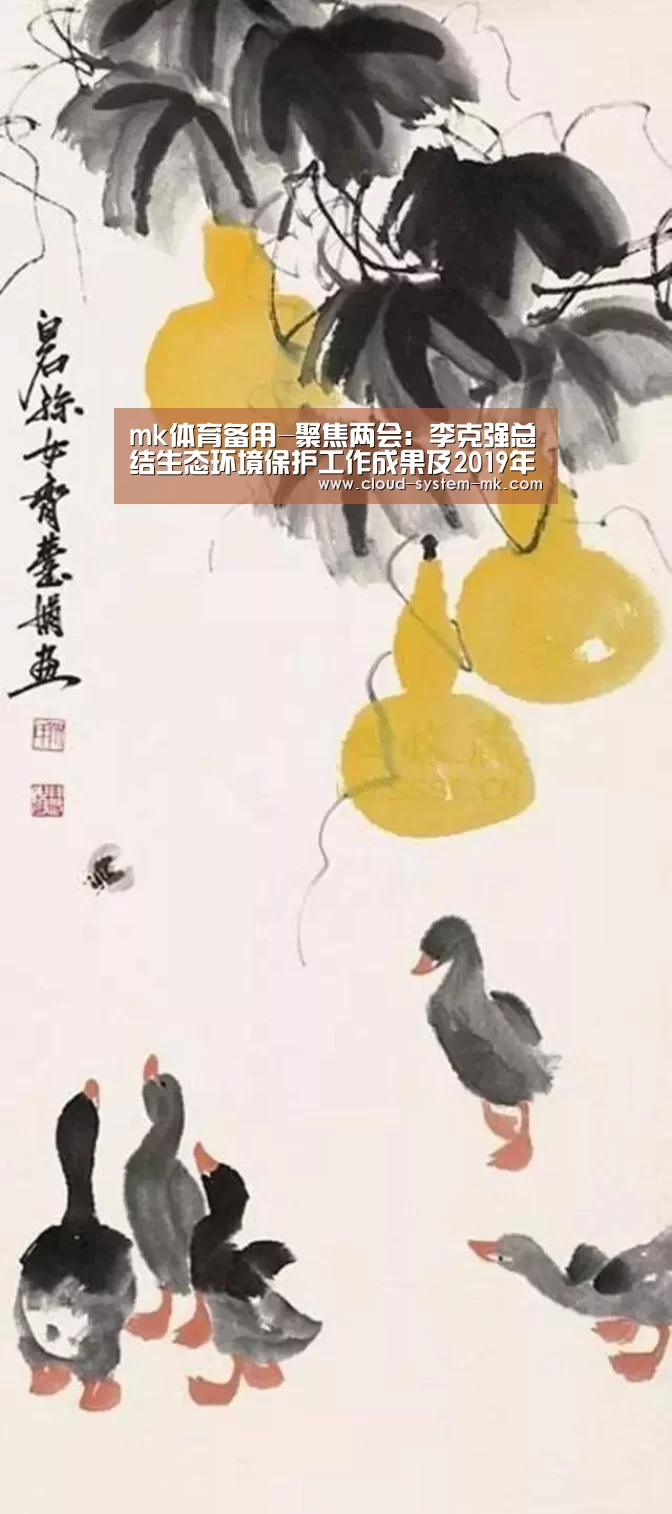 mk体育官网