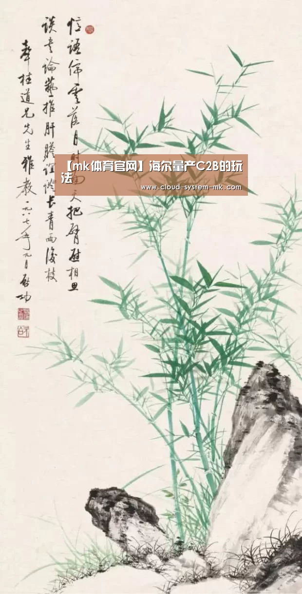 【mk体育官网】海尔量产C2B的玩法(图2) mk体育下载