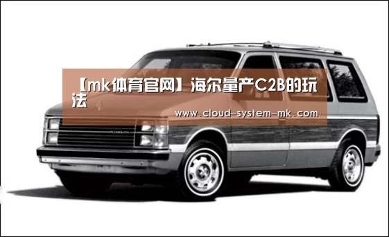 【mk体育官网】海尔量产C2B的玩法(图1) mk体育下载