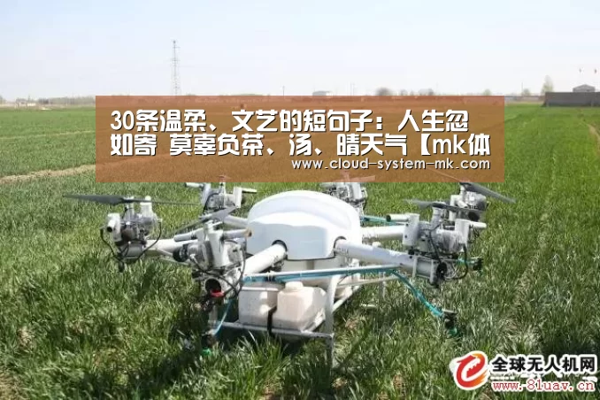 30条温柔、文艺的短句子:人生忽如寄 莫辜负茶、汤、晴天气【mk体育app】(图3) mk体育下载