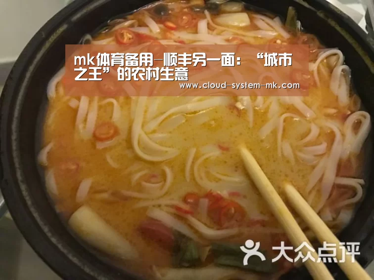 mk体育备用-顺丰另一面:“城市之王”的农村生意(图1) mk体育备用