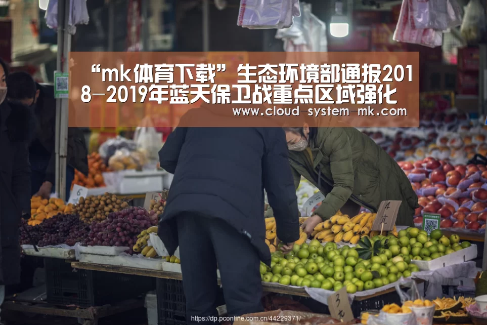 “mk体育下载”生态环境部通报2018-2019年蓝天保卫战重点区域强化监督情况(2019年2月25日)(图3) mk体育备用